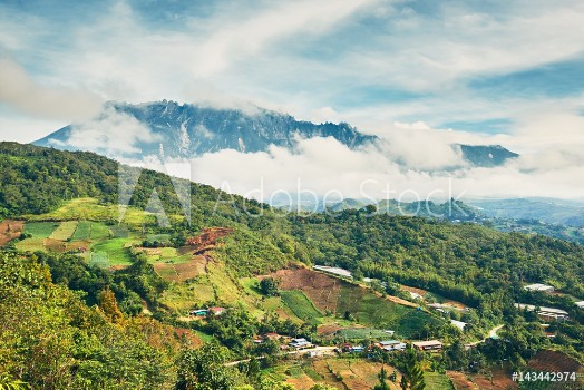 Bild på Landscape with Mount Kinabalu
